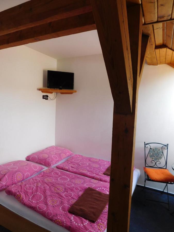 Pension U Mojmira Рокицани Экстерьер фото