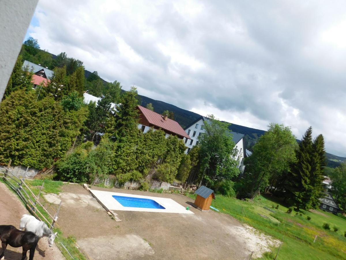 Pension U Mojmira Рокицани Экстерьер фото